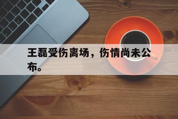 DB体育官方app下载-王磊受伤离场，伤情尚未公布。