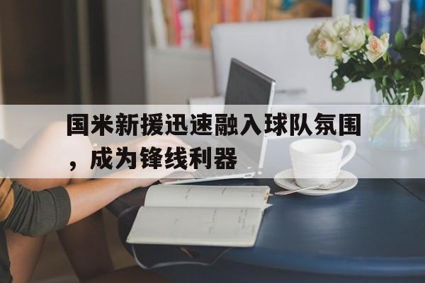 国米新援迅速融入球队氛围，成为锋线利器